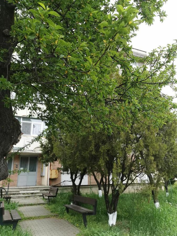Apartament Asr Piatra Neamţ Екстериор снимка